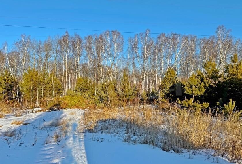 земля р-н Тюменский с Каменка Тюмень фото 4