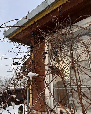 дом ул Садовая 3 Московское шоссе, 37 км, Мгинское городское поселение, Мга фото