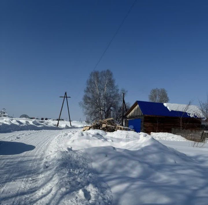 земля р-н Целинный с Бочкари ул Шкурата 4 фото 5