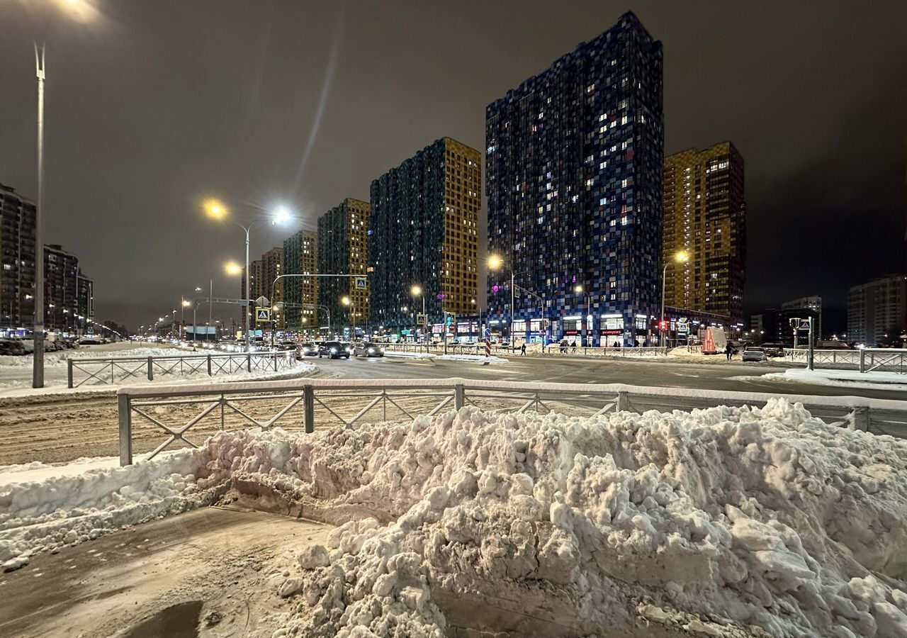 квартира г Санкт-Петербург метро Комендантский Проспект пр-кт Комендантский 58к/1 округ Коломяги фото 23