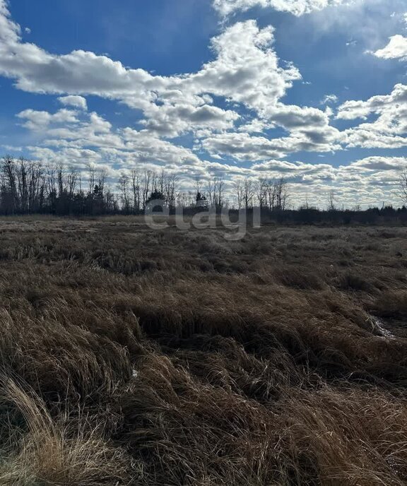 земля г Благовещенск 5-ая стройка ул Зазеркальная фото 3