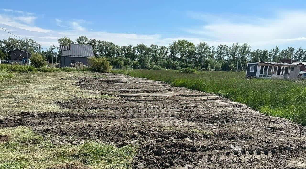 земля р-н Зеленоградский п Куликово снт Светлогорское Зеленоградский муниципальный округ фото 13