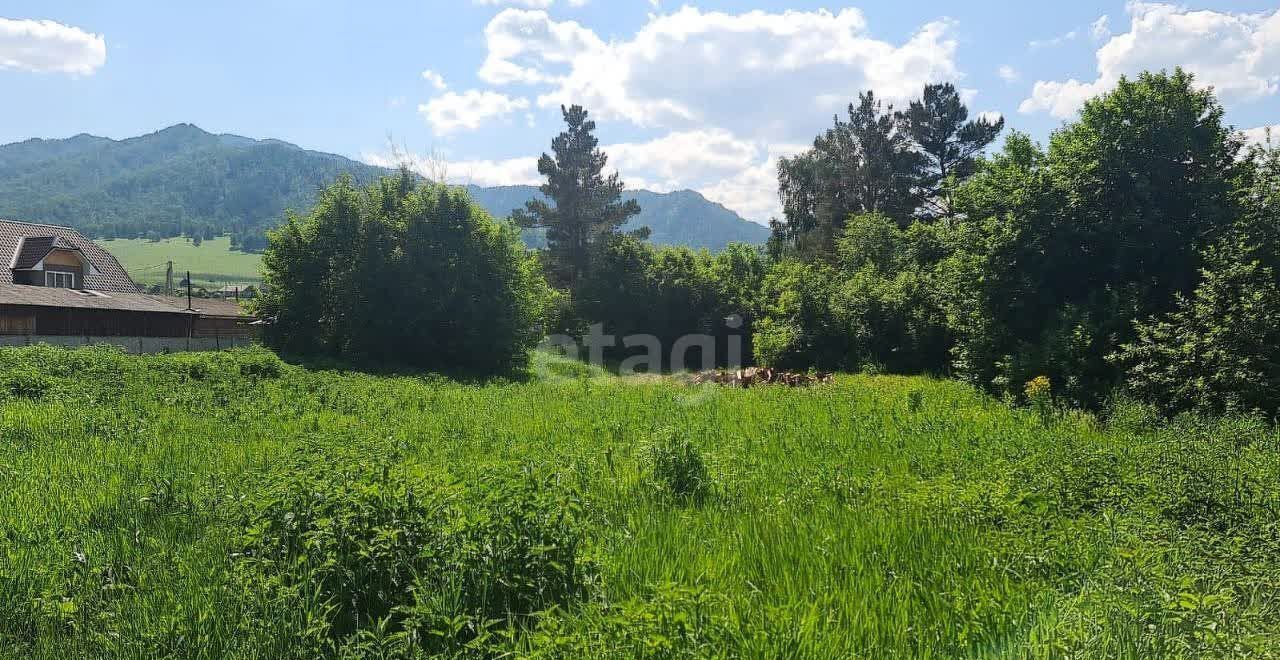 дом р-н Шебалинский с Черга ул Октябрьская Алтайский край, Алтайское фото 2