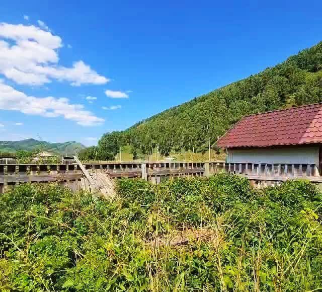 дом р-н Шебалинский с Черга ул Октябрьская Алтайский край, Алтайское фото 5