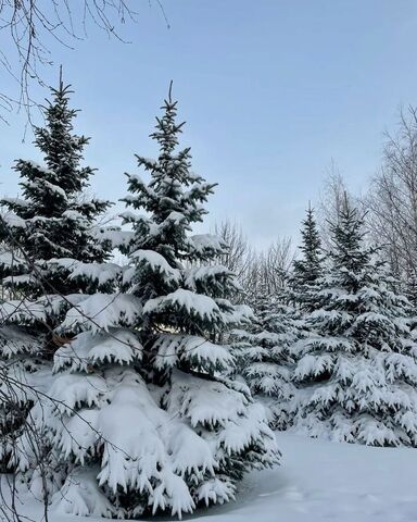 57 км, коттеджный пос. Эко берег, Михнево, Новокаширское шоссе фото