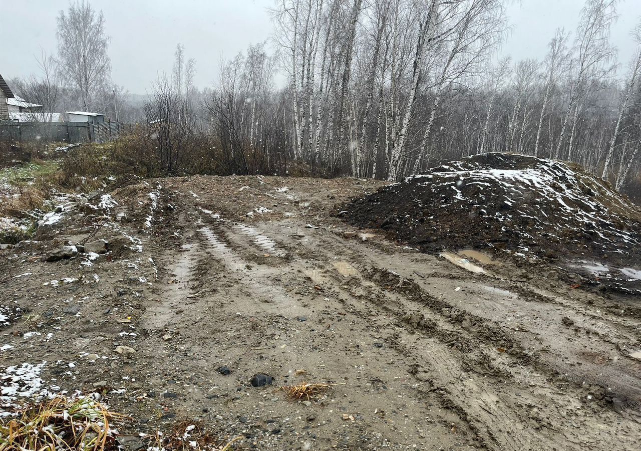 земля р-н Новосибирский тер. ДНТ Чкаловские просторы Каменский сельсовет, 7-я линия, Новосибирск фото 5