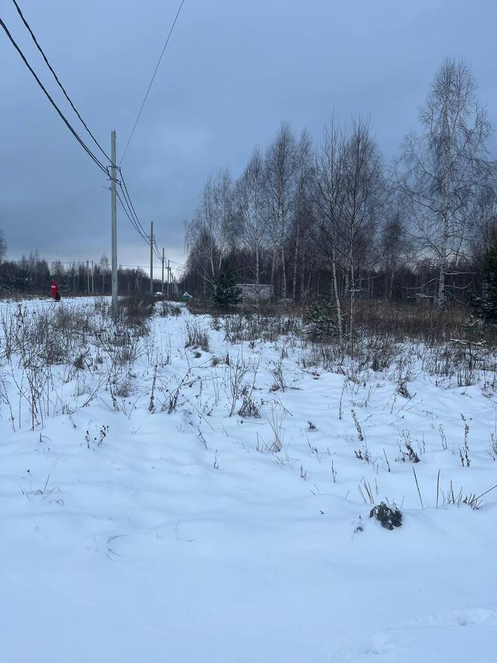 земля р-н Богородский д Килелей ул 1-я Брусничная фото 1