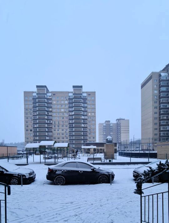 квартира городской округ Пушкинский п Зеленоградский снт Зеленоградский ул. Зеленый Город, 4 фото 7