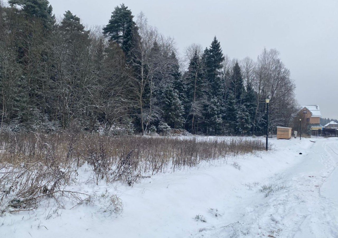 земля городской округ Дмитровский п Новое Гришино 32 км, Деденево, Дмитровское шоссе фото 5