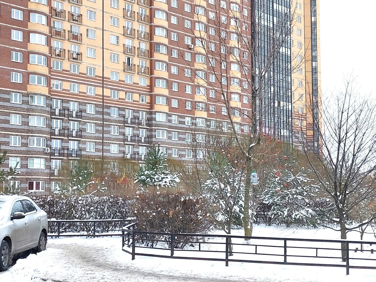 квартира г Санкт-Петербург метро Парнас р-н Выборгский фото 1