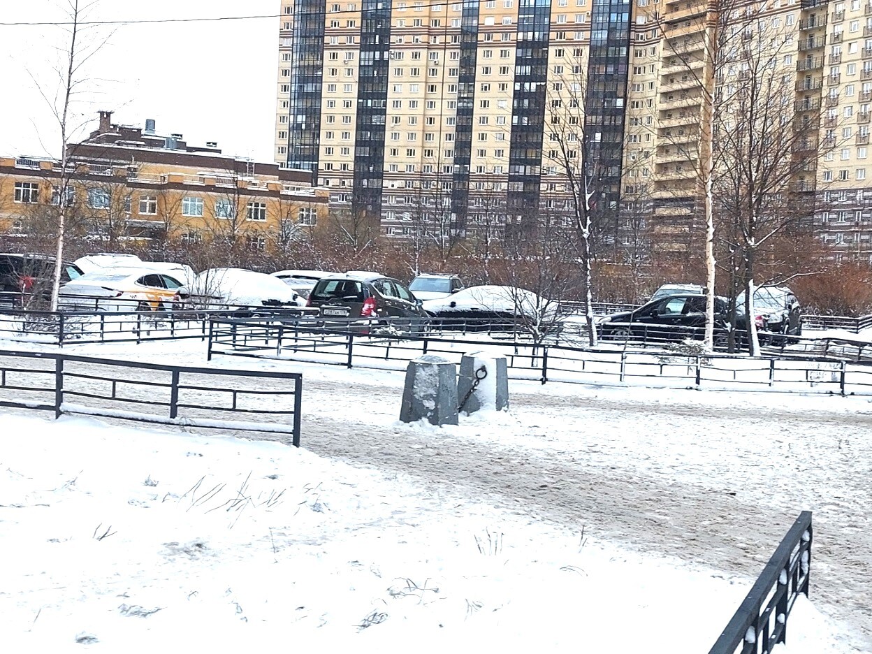 квартира г Санкт-Петербург метро Парнас р-н Выборгский фото 22