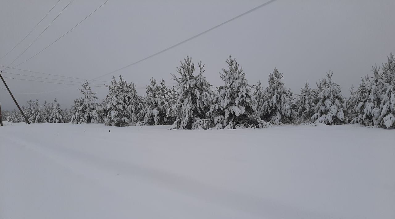 земля городской округ Раменский с Речицы ул Новая 66 фото 3