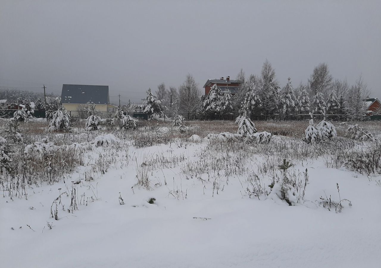 земля городской округ Раменский с Речицы 41 км, Егорьевское шоссе фото 5