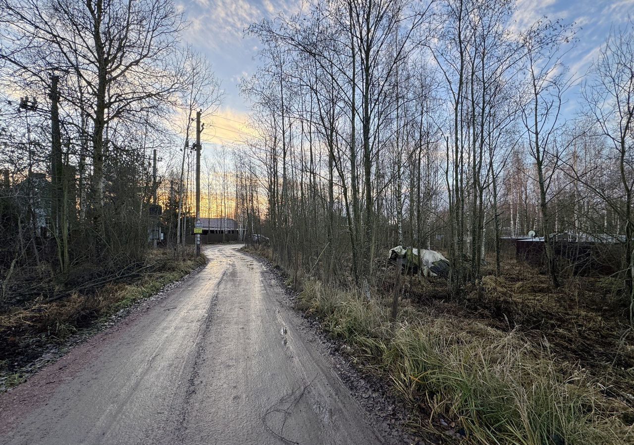 земля р-н Всеволожский д Маслово Московское шоссе, 18 км, Свердловское городское поселение, Отрадное фото 3