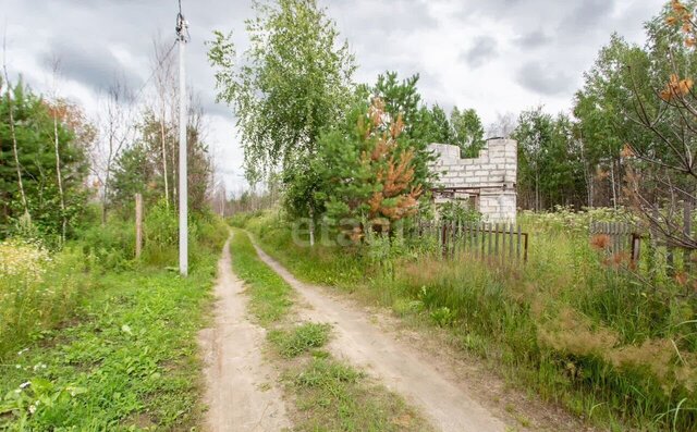 Малозоркальцевское сельское поселение, садоводческое товарищество Энергостроитель, Таёжная ул, Тобольск фото