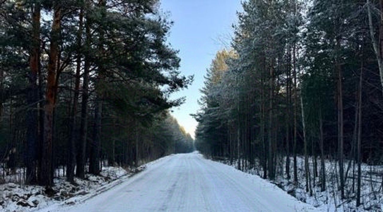 земля р-н Сысертский п Бобровский фото 5