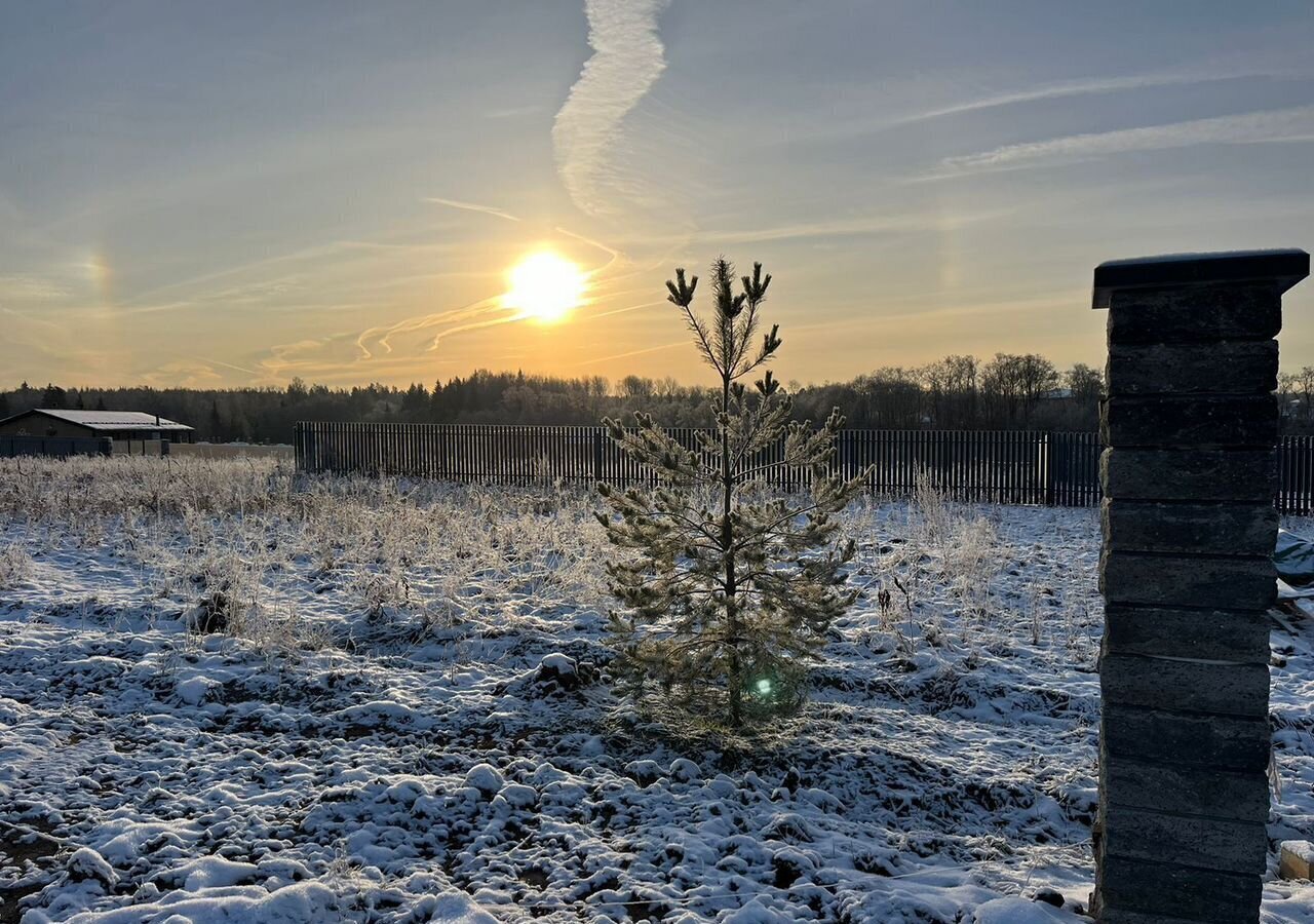 земля городской округ Истра д Павловское 28 км, Снегири, Волоколамское шоссе фото 4