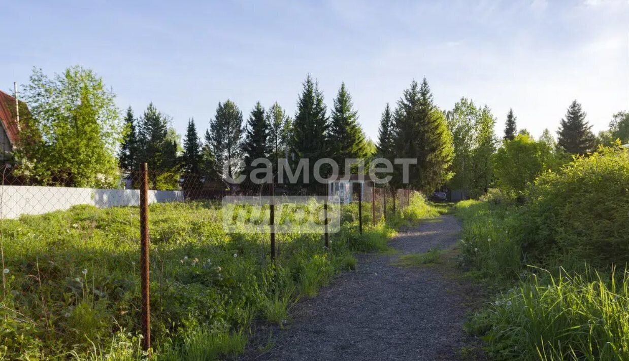 земля р-н Новокузнецкий п Кузедеево снт Гидродобытчик-2 фото 7