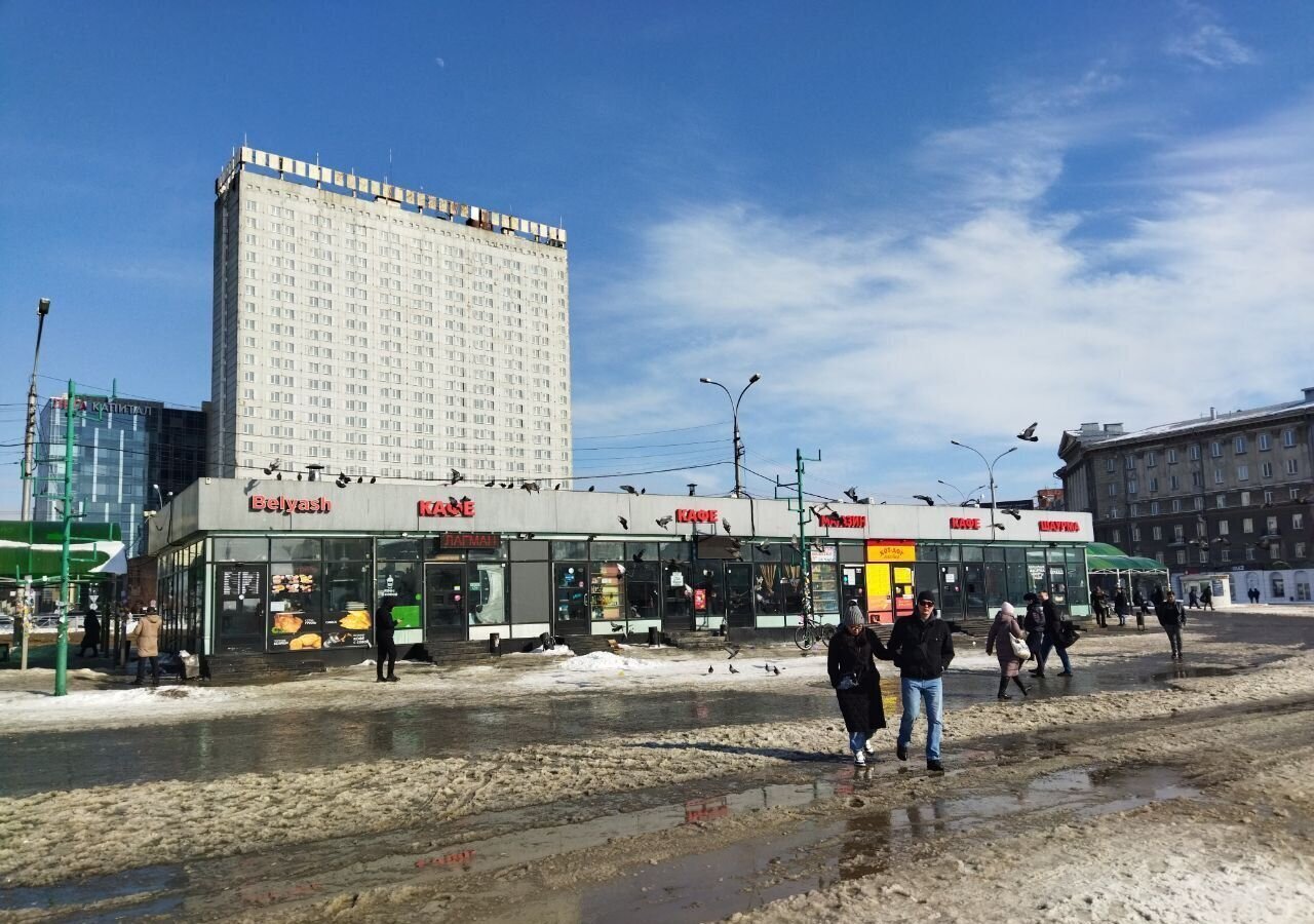 свободного назначения г Новосибирск метро Площадь Гарина-Михайловского ул Дмитрия Шамшурина 43/1к 1 фото 13