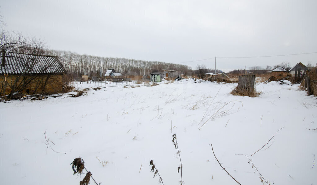 земля г Ялуторовск садово-огородническое некоммерческое товарищество Пустошкино фото 3