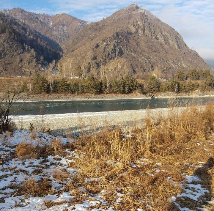 земля р-н Чемальский с Чемал фото 1