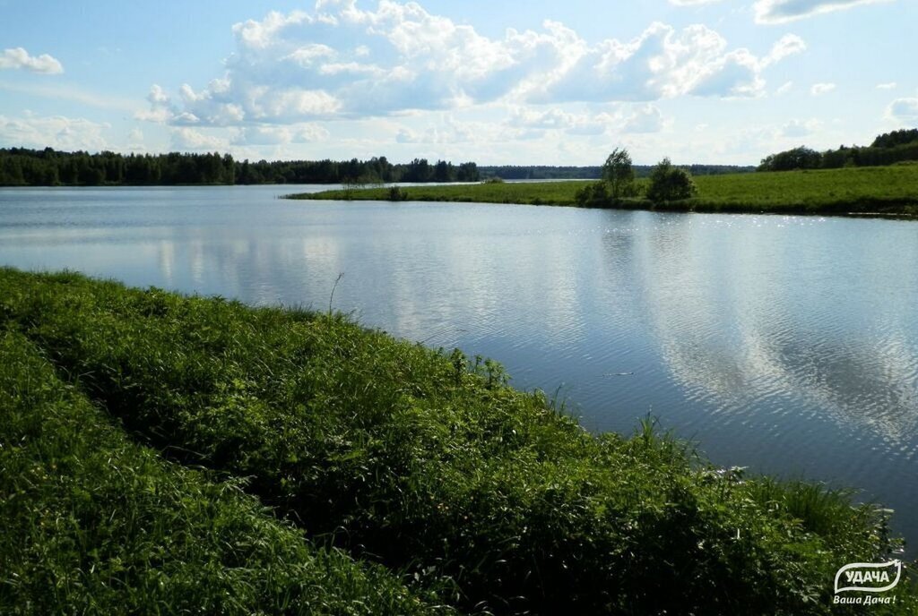 земля городской округ Шаховская ДНП Дорино-2 фото 1