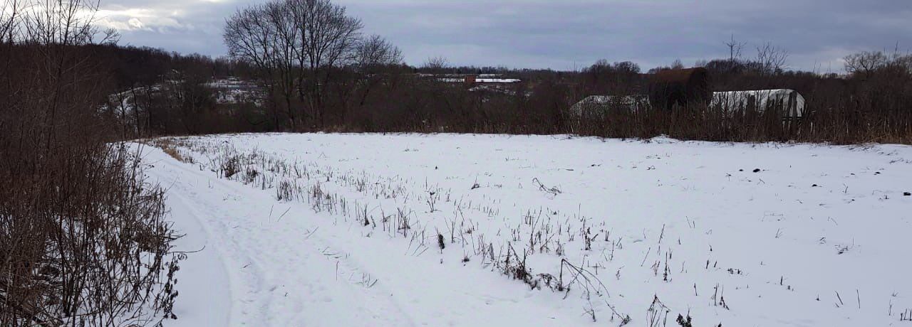 земля р-н Алексинский д Большое Шелепино ул Новая Алексин городской округ фото 6