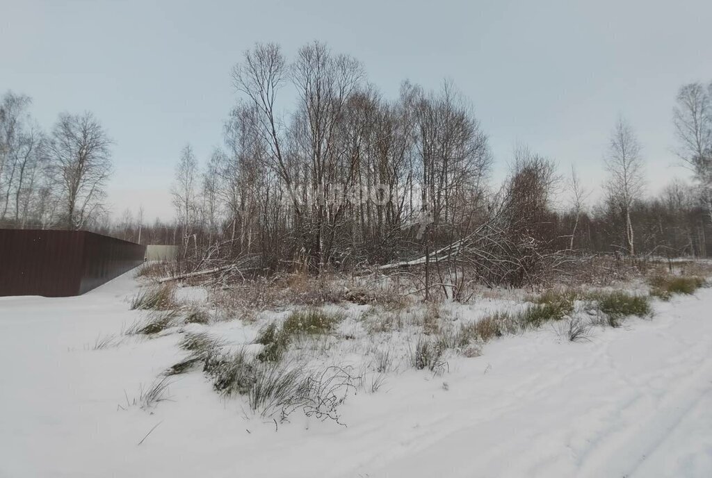 земля городской округ Орехово-Зуевский г Куровское ул Озерная фото 6