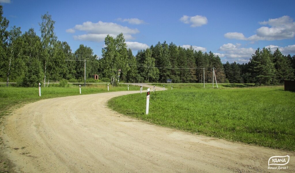 земля городской округ Шаховская ДНП Дорино-2 фото 5