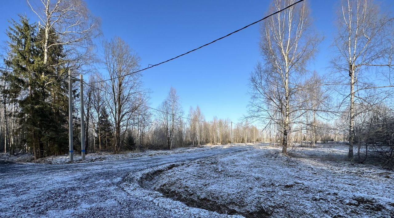 земля городской округ Дмитровский п Новое Гришино фото 5