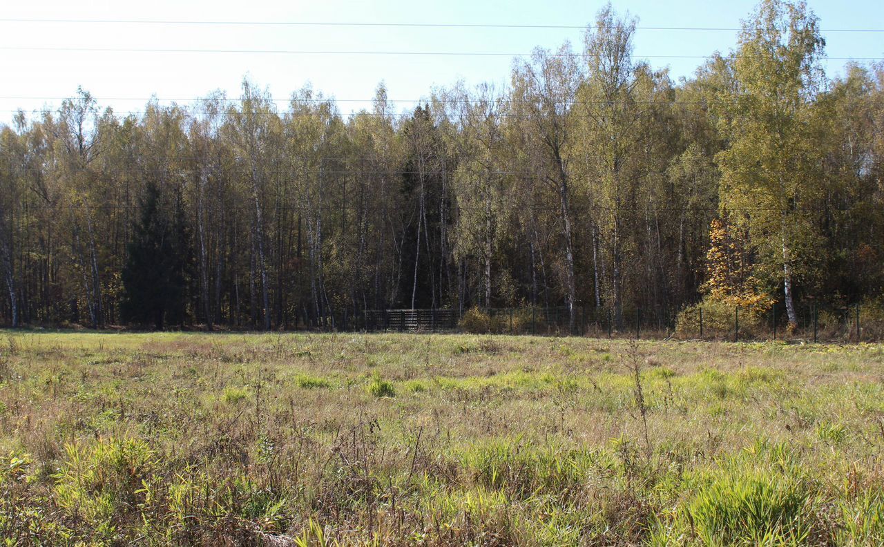 земля городской округ Домодедово 37 км, д. Купчинино, Новокаширское шоссе фото 2