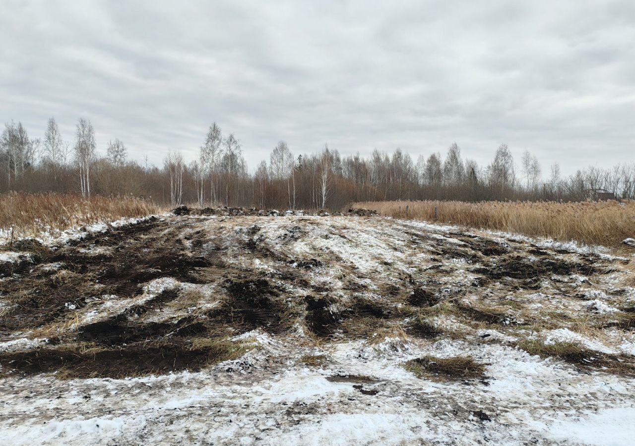 земля г Тюмень снт Липовый остров 13-я Восточная ул фото 1