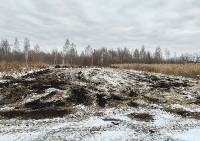 земля снт Липовый остров 13-я Восточная ул фото