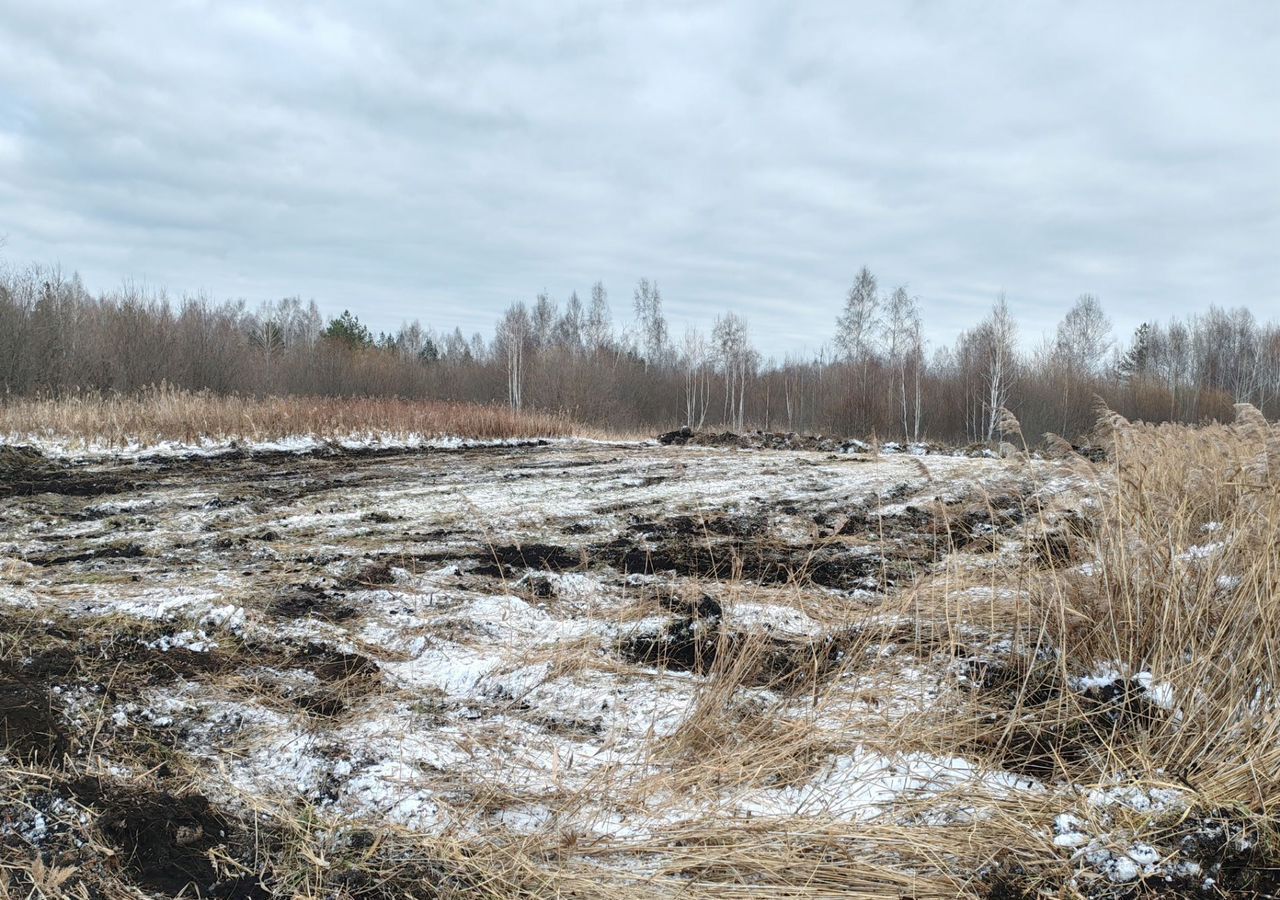 земля г Тюмень снт Липовый остров 13-я Восточная ул фото 3