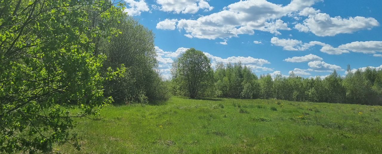 земля р-н Новгородский д Неронов Бор Ракомское сельское поселение, Великий Новгород фото 6