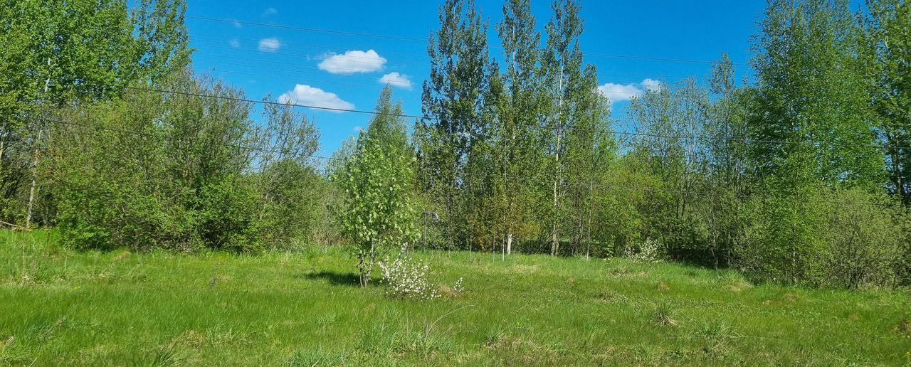 земля р-н Новгородский д Неронов Бор Ракомское сельское поселение, Великий Новгород фото 7