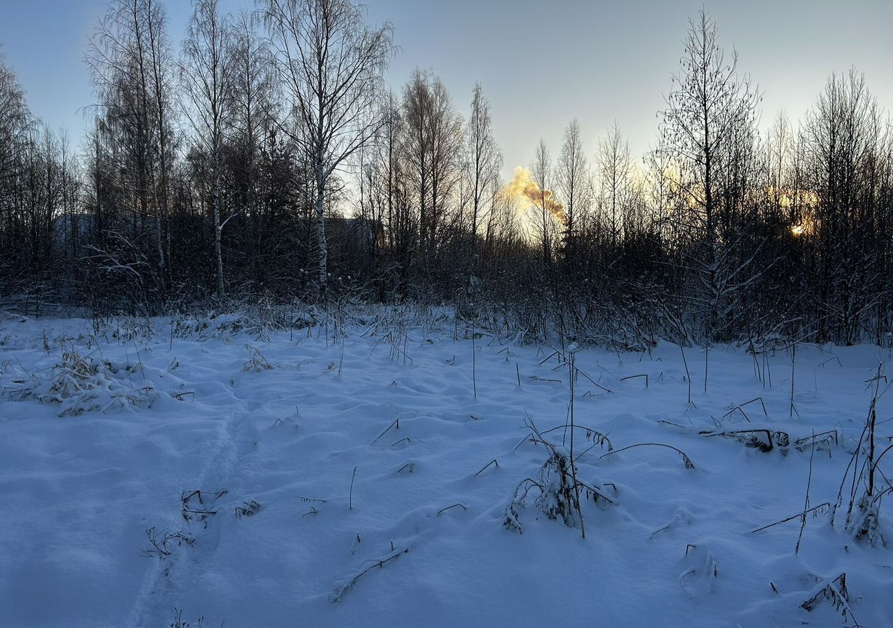 земля р-н Лодейнопольский г Лодейное Поле Мурманское шоссе, Лодейнопольское городское поселение фото 3