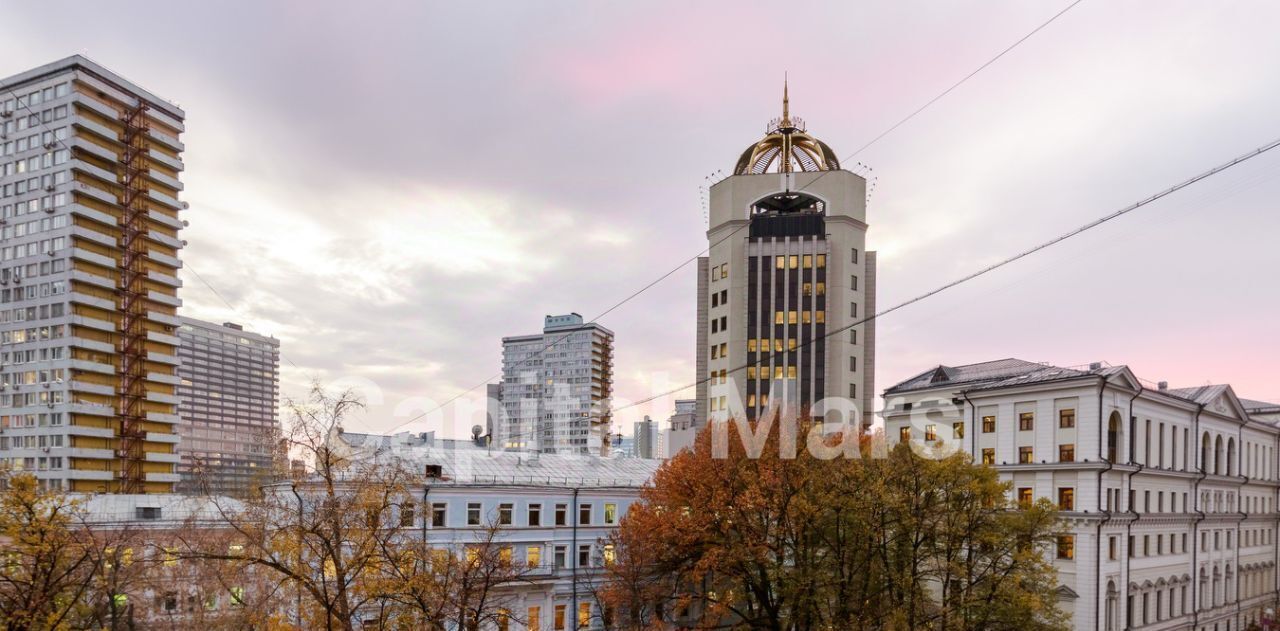 квартира г Москва метро Арбатская ул Поварская 20 муниципальный округ Арбат фото 10