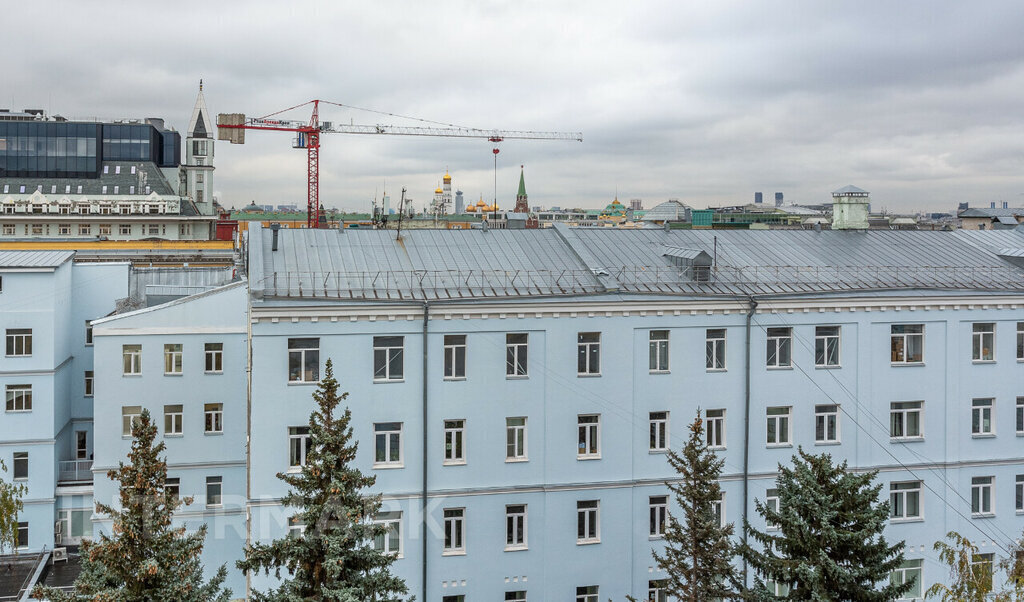 квартира г Москва метро Охотный Ряд пер Брюсов 2/14с 3 муниципальный округ Пресненский фото 19