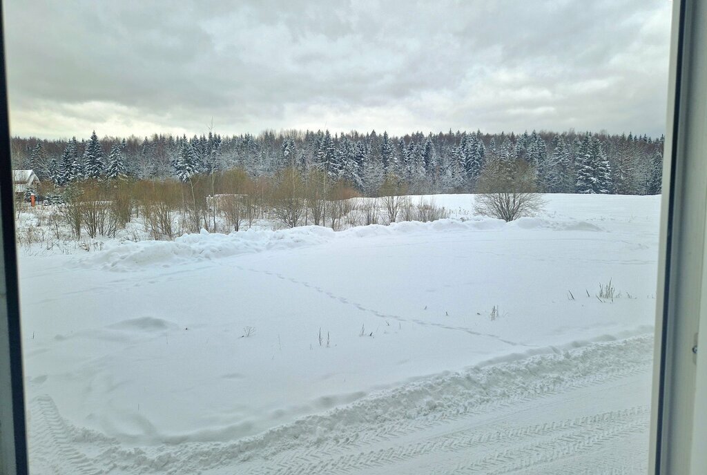 дом городской округ Солнечногорск д Николо-Черкизово Зеленоград — Крюково, микрорайон Белый город, 33 фото 10