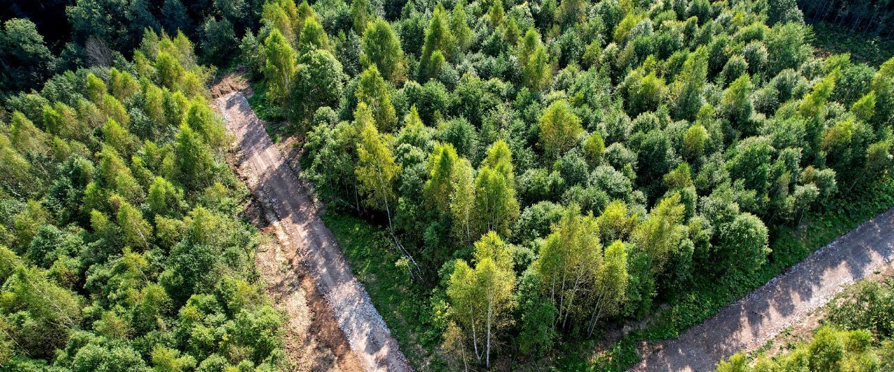 земля городской округ Дмитровский д Дмитровка Лобня фото 7