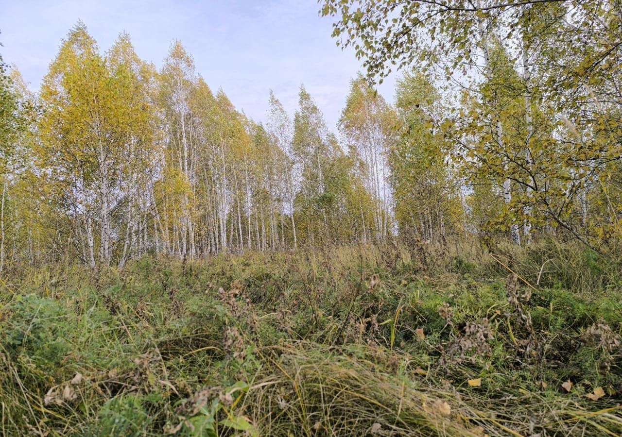 земля р-н Кетовский ДНТ Родные просторы Новая ул., 162, Курган фото 1