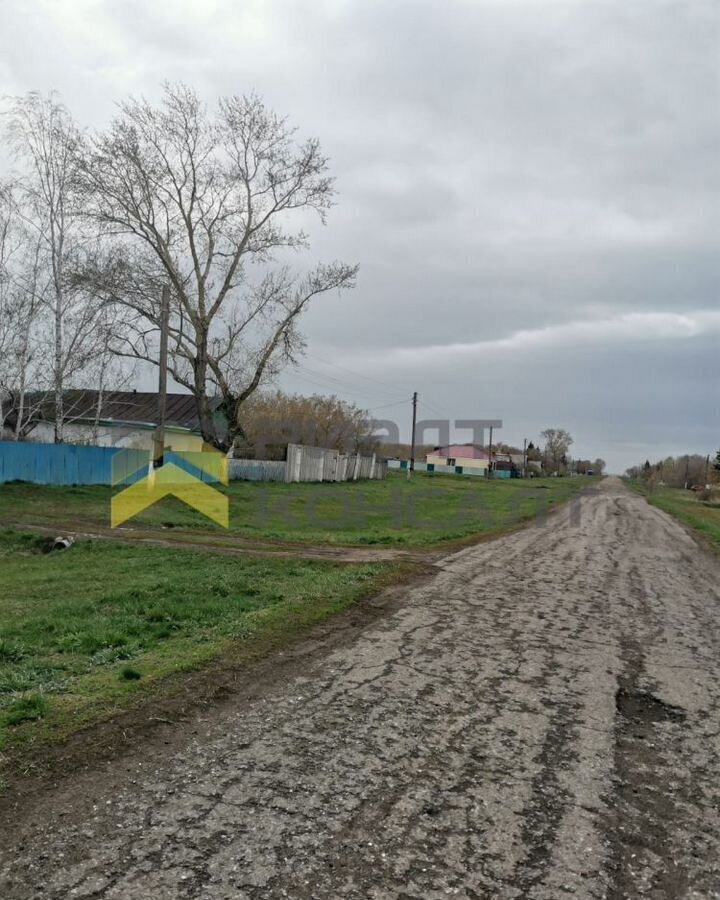 дом р-н Шербакульский д Больше-Васильевка ул Центральная 47 Бабежское сельское поселение, Шербакуль фото 15