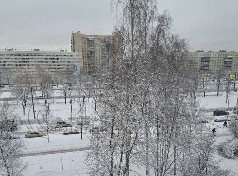 квартира г Санкт-Петербург метро Проспект Просвещения пр-кт Культуры 14к/1 округ № 15 фото 11