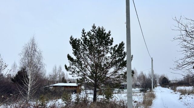 снт Фиалка Шуваевский сельсовет, 4 фото