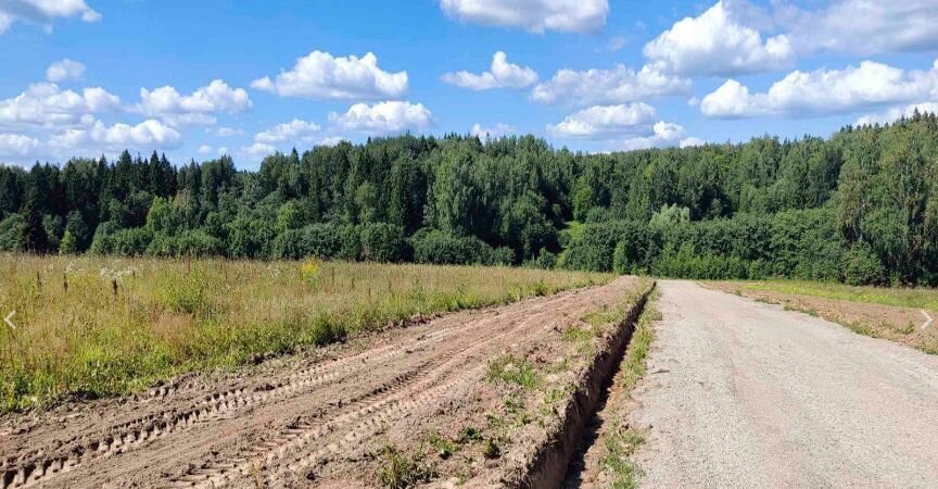 земля городской округ Дмитровский с Семеновское 53 км, Рогачево, Рогачёвское шоссе фото 2