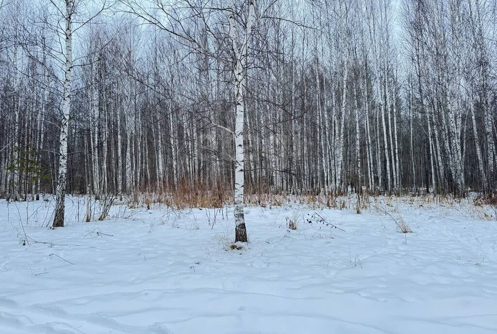 земля р-н Нижнетавдинский п Карагандинский садовые участки фото 8