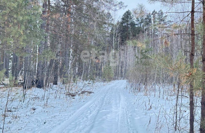 земля р-н Нижнетавдинский п Карагандинский садовые участки фото 11