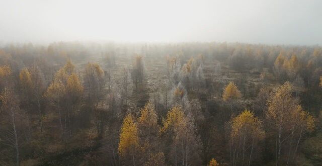 55 км, коттеджный пос. Макеево Вилладж, 138, Михнево, Новокаширское шоссе фото