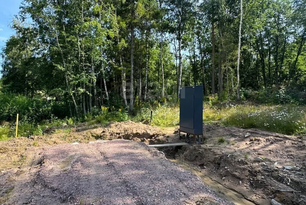 земля Сосновское сельское поселение, коттеджный посёлок Ламполово, Лёгкая улица фото 7